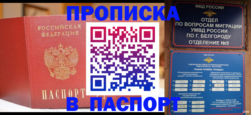 временная регистрация в квартире в Электрогорске
